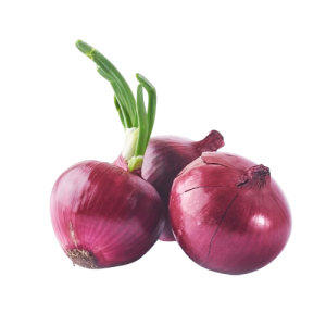 Qırmızı soğan