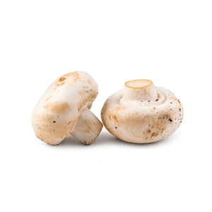 Şampinyon