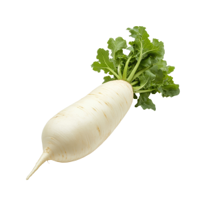 Daykon